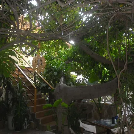 Lazer 酒店 安塔利亚